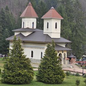 Șah în doi