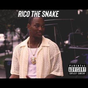 Rico The Snake
