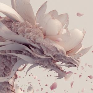 Fractals of Your Mind