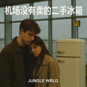 机场没有卖的二手冰箱 伴奏