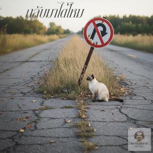 กลับมาได้ไหม