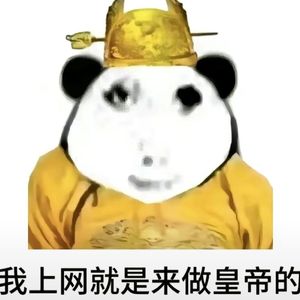 我上网就是来当皇帝的