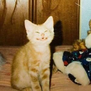 等一夏prod by Vito