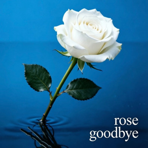 rose goodbye
