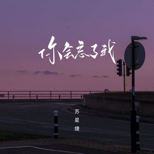 你会忘了我