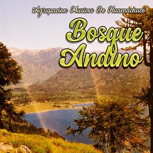 Bosque Andino