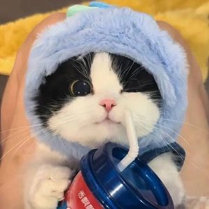 我看见未来的曙光