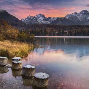 遗忘间的幸福微光