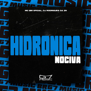 Hidronica Nociva