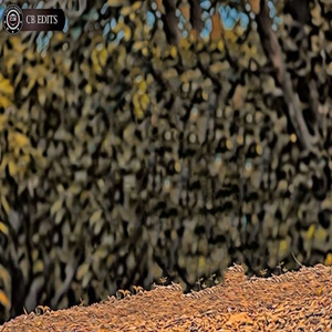 এই কথা যে বলবে এনায়েতুল্লাহ আব্ব