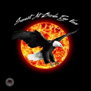 Sunsetatbirdseyeview (feat. Priest Pope)
