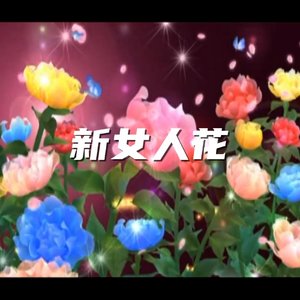 新女人花