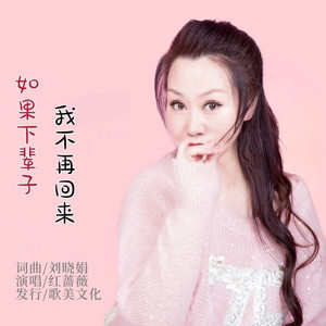 如果下辈子我不再回来