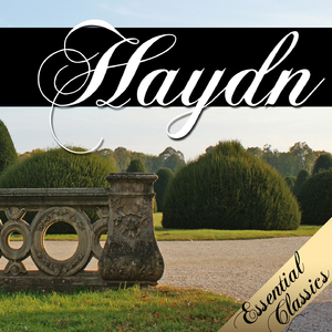 Symphony No. 45 In F Sharp Minor 'Farewell' I. Allegro assai