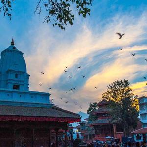 鱼儿不再向往远方