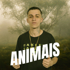 Animais