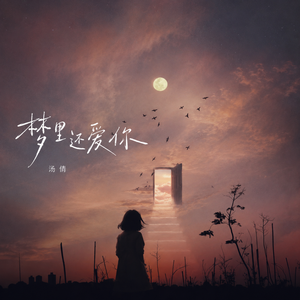 梦里还爱你 (伴奏)