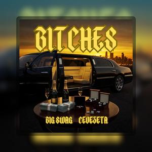 BITCHES (feat. BIG SWAG & CEVEZETA)