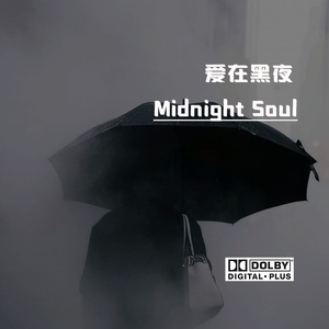 爱在黑夜