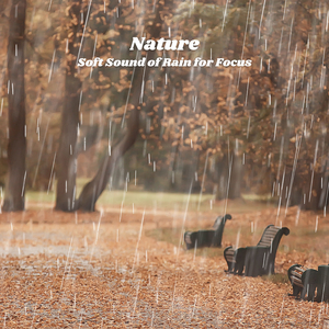 Whizzing Thunder Rain