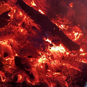 别走DontGo@211"ProdoldFish"