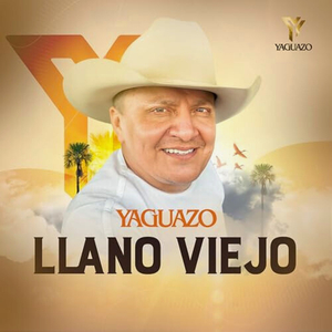 Reglamentos Del Llano