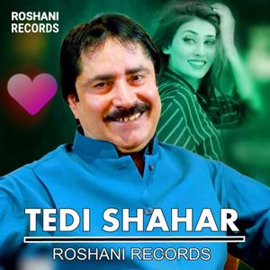 Tedi Shahar