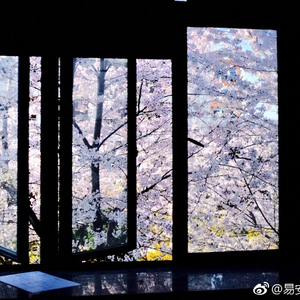 有你の快乐「黄其淋（林墨）」（翻自 Joanna wang）