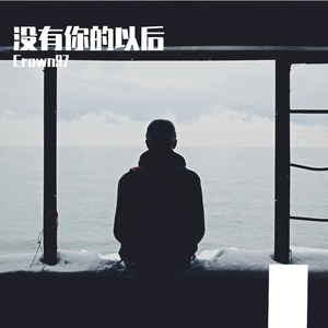 没有你的以后