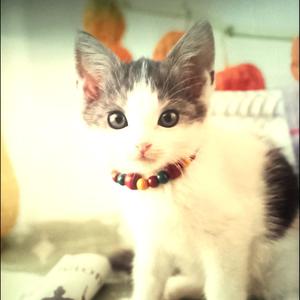 DANCE UNTIL UR D3AD x