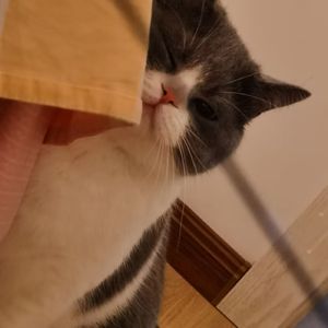 Dream with You（B-LIPSTICK remix）