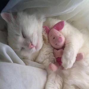 I'm so tired(prod.Furyl)