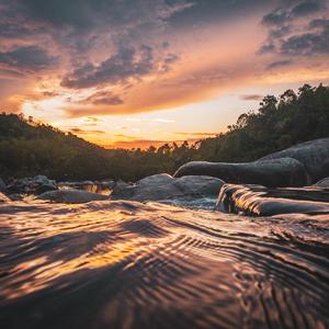 FREE LOOP PACK (37 LOOPS)