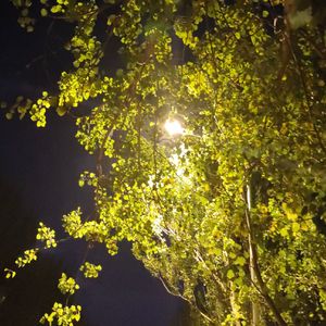 她是我的
