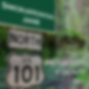 Weedman