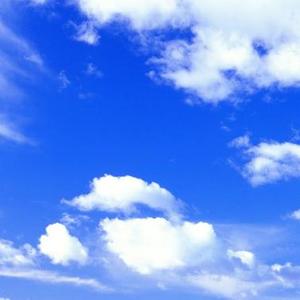 明知做戏(手放开粤语版)