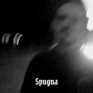 Spugna