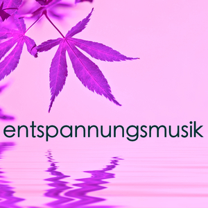 Erwachen (Hintergrundmusik)
