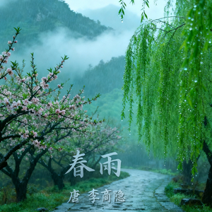 春雨