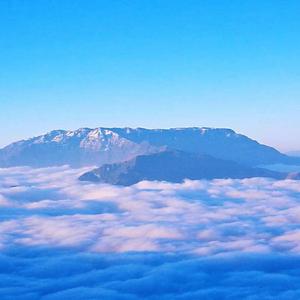 薰衣草的花语-整曲 伴奏