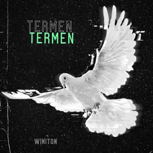 Termen