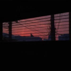 Are looking forward to