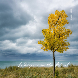 Whispers in the Wind