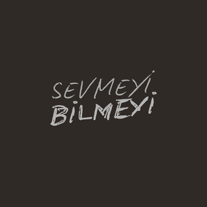 Sevmeyi̇ Bi̇lmeyi̇
