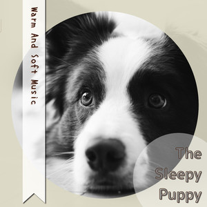 Tranquility of the Ocean