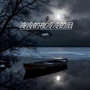 冷冷的夜冷冷的泪（伴奏）