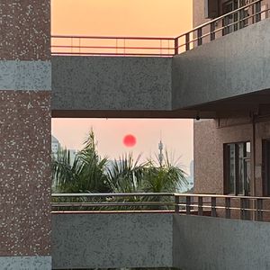 你的珍藏（cover单依纯）