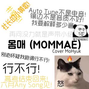 MOMMAE(身姿)（翻自 朴宰范）