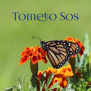 Tometo Sos