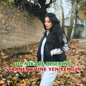 Tu Bixwazî Dikarî ji Bîr Bikî